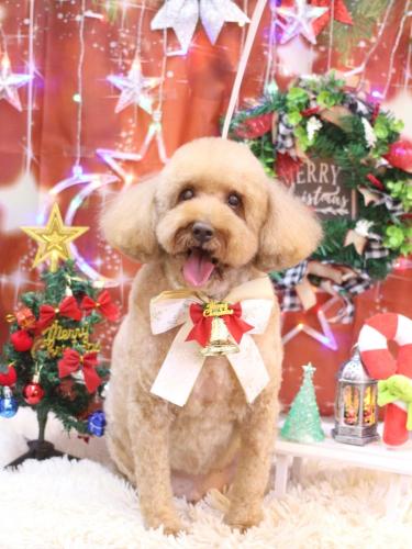 20231213ケンくん